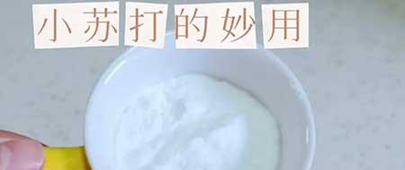厨房适合养什么绿植