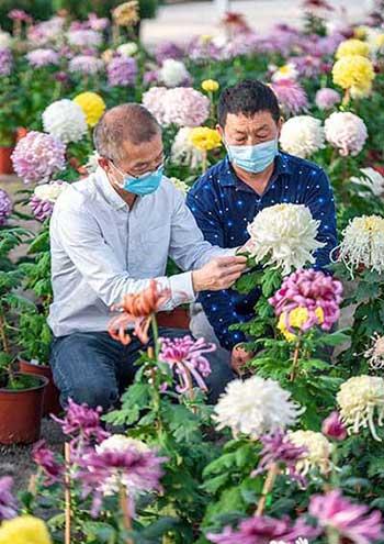 花卉培育基地