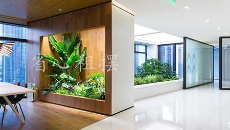 公司前厅植物租摆