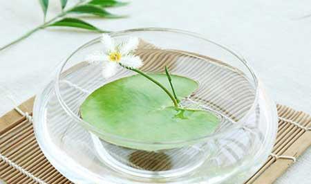 能在水里养的花