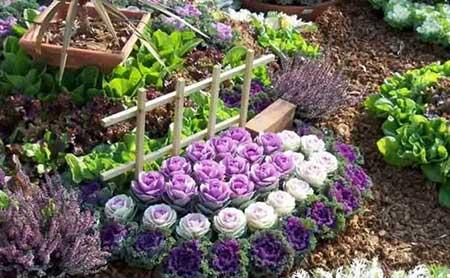 花期长适合北方庭院养的花