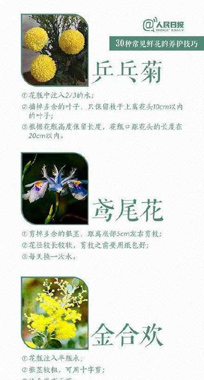 养护花