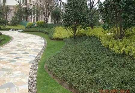 小区绿植养护标准