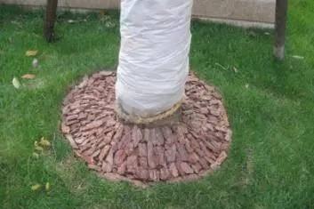 小区绿植养护标准