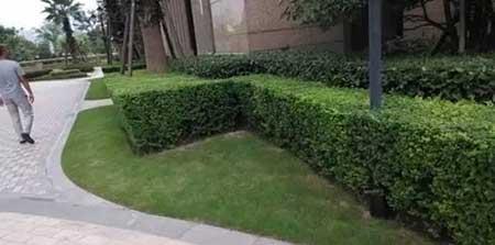 小区绿植养护标准