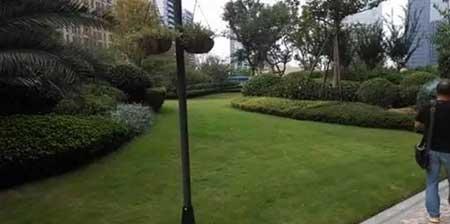 小区绿植养护标准