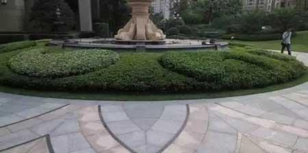 小区绿植养护标准