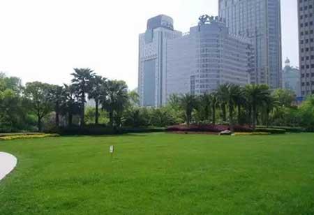 小区绿植养护标准