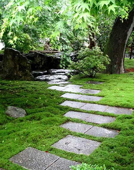 庭院草坪养护