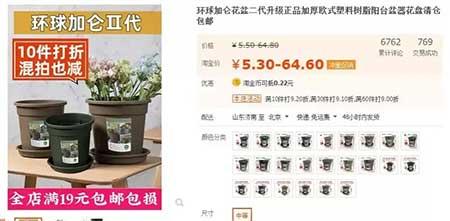 客厅养什么绿植好养