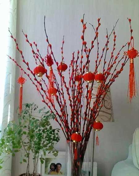 家养水培花卉