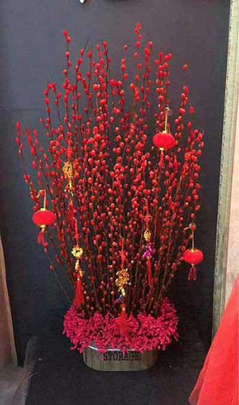家养水培花卉
