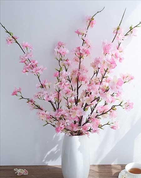 家养水培花卉