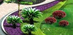公园植物养护