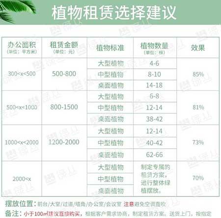 办公室花卉租赁报价