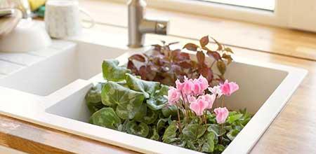 室内绿植养护方案