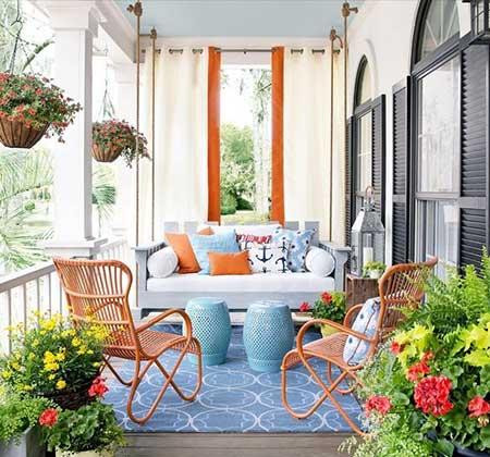 客厅养什么绿植好