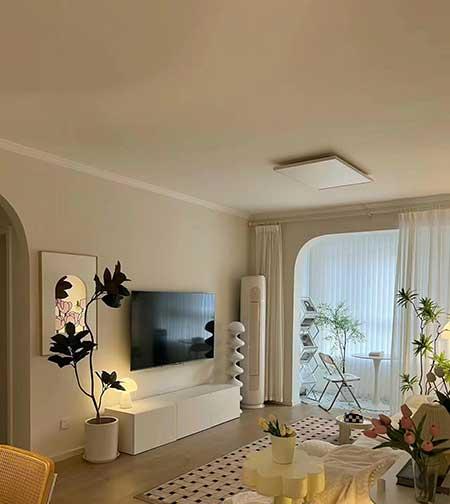 适合养家里的绿植