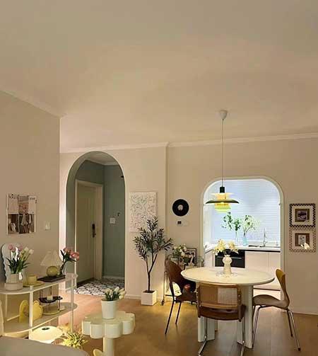 适合养家里的绿植