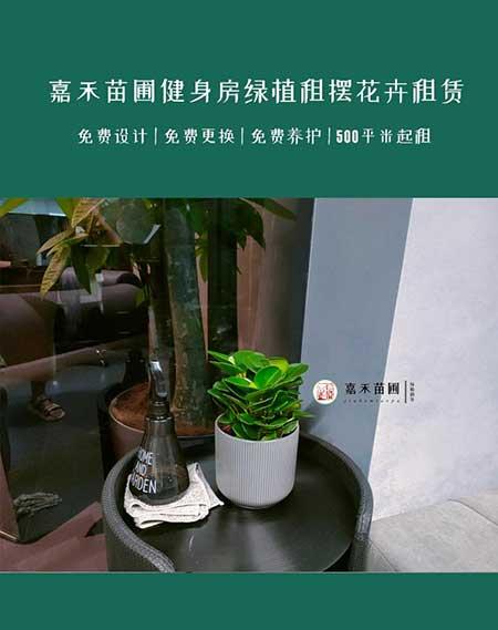 医院绿植租赁