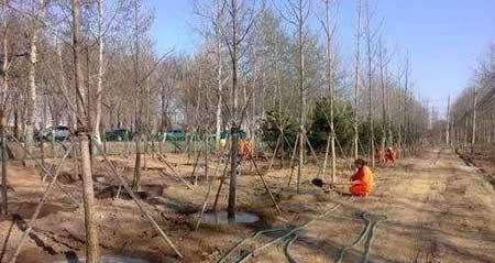 园林养护