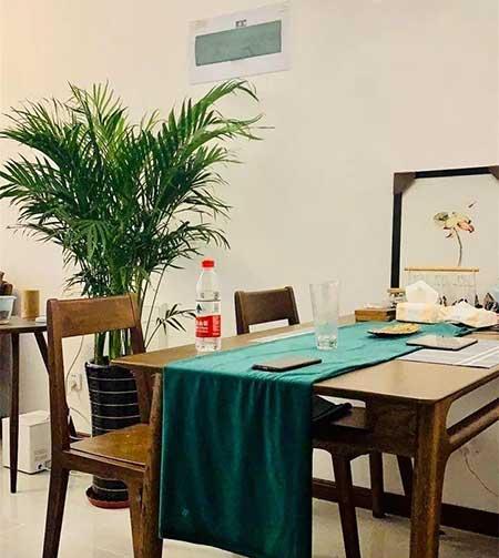 家庭适合养殖的花卉植物